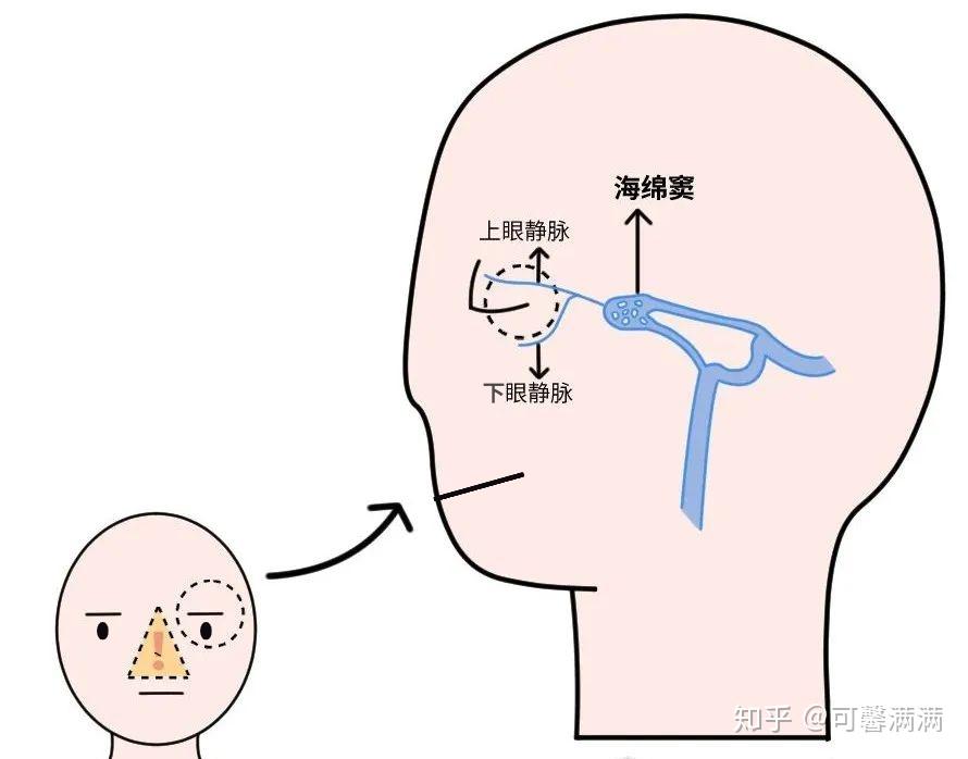 危险三角区 下面图片