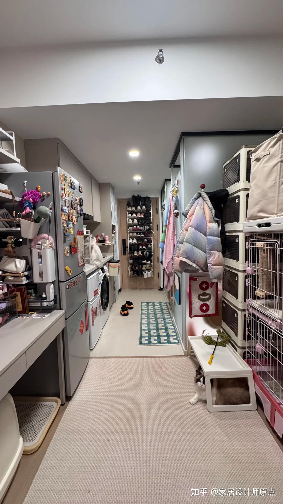 香港一女姑娘的家火了，布置得满满当当，还能养4只小猫，好壮观 - 知乎
