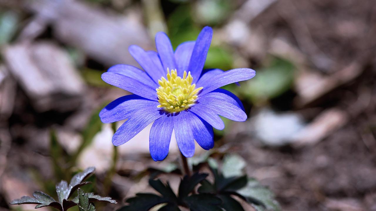 3. 田地最新售价