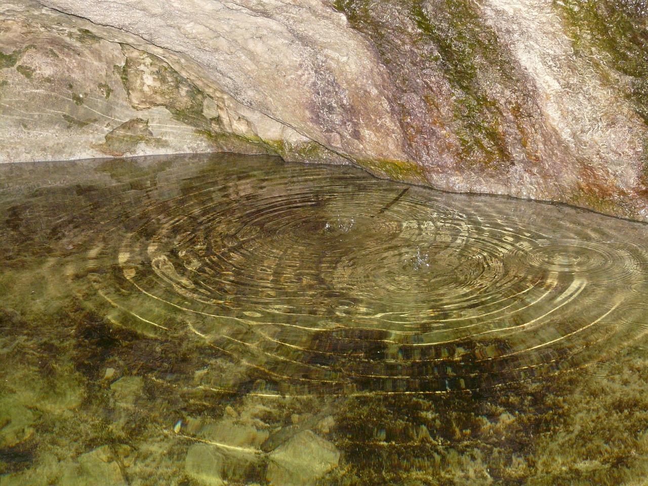 白鸟水盆怎么样