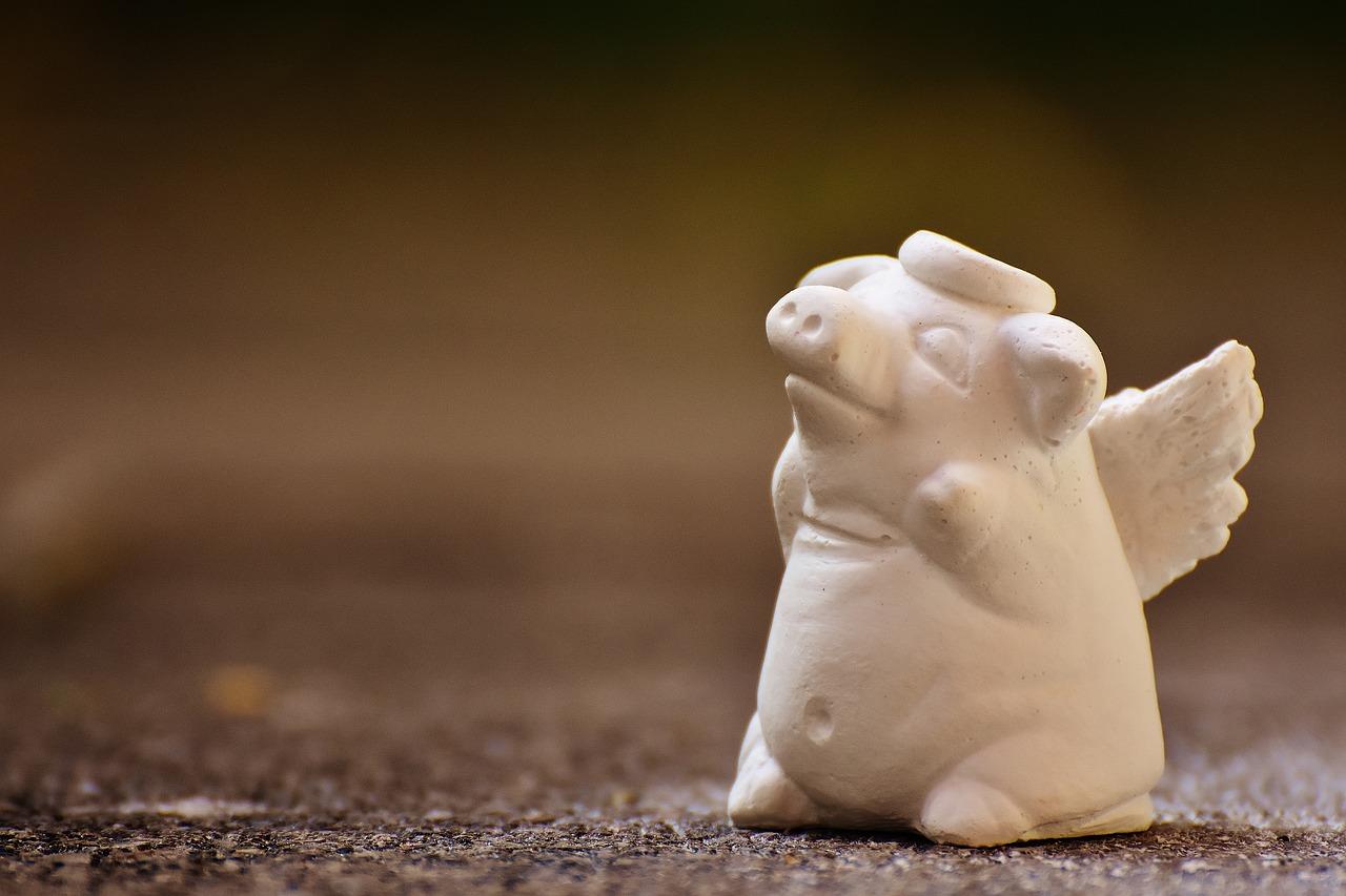 3. 石膏最新零售价