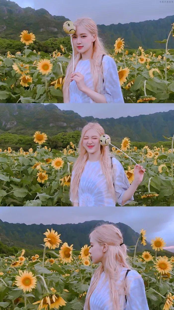 有没有blackpink好康的壁纸单人全团的都ok