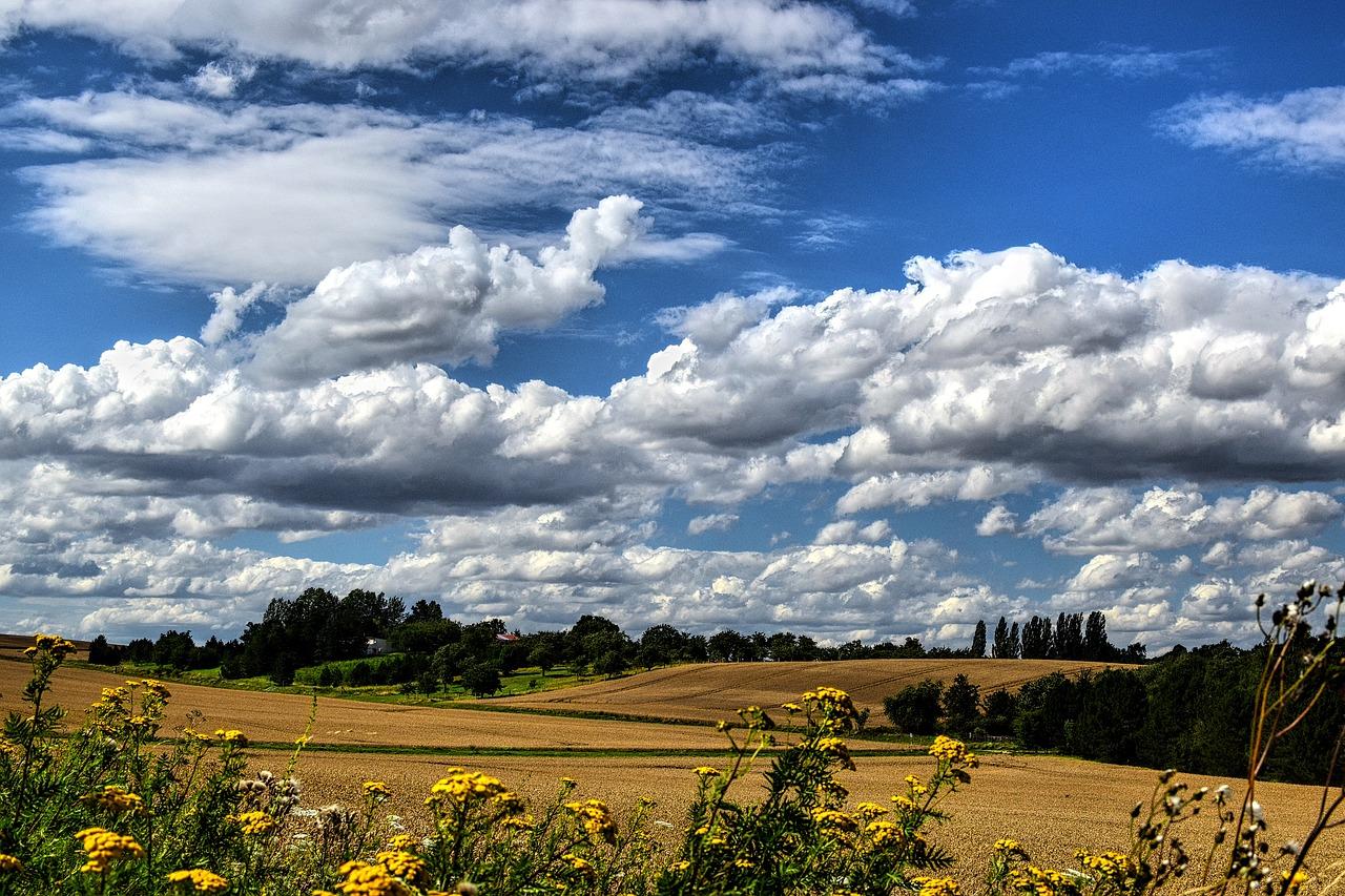 总进深是什么意思