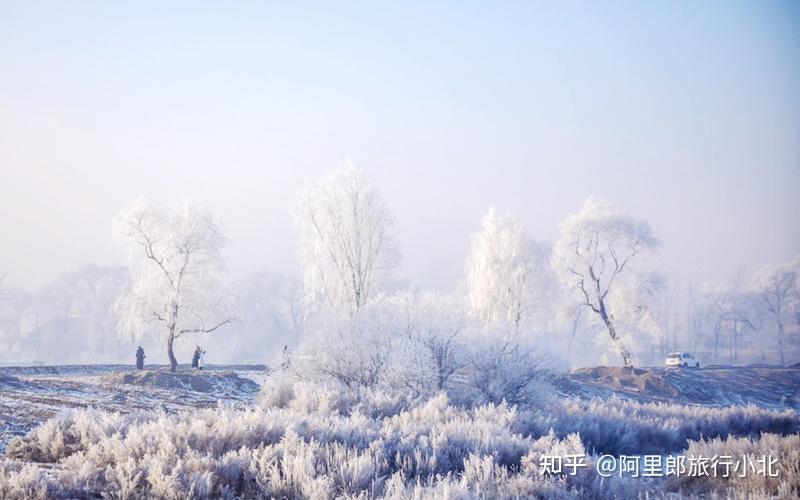 吉林雾凇岛攻略,冬季东北旅行胜地 - 知乎