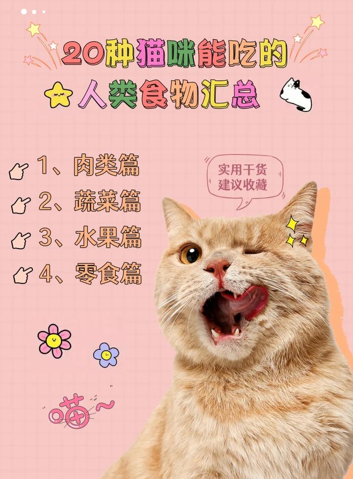 猫咪饮食 | 20种猫咪能吃的人类食物汇总! - 知乎