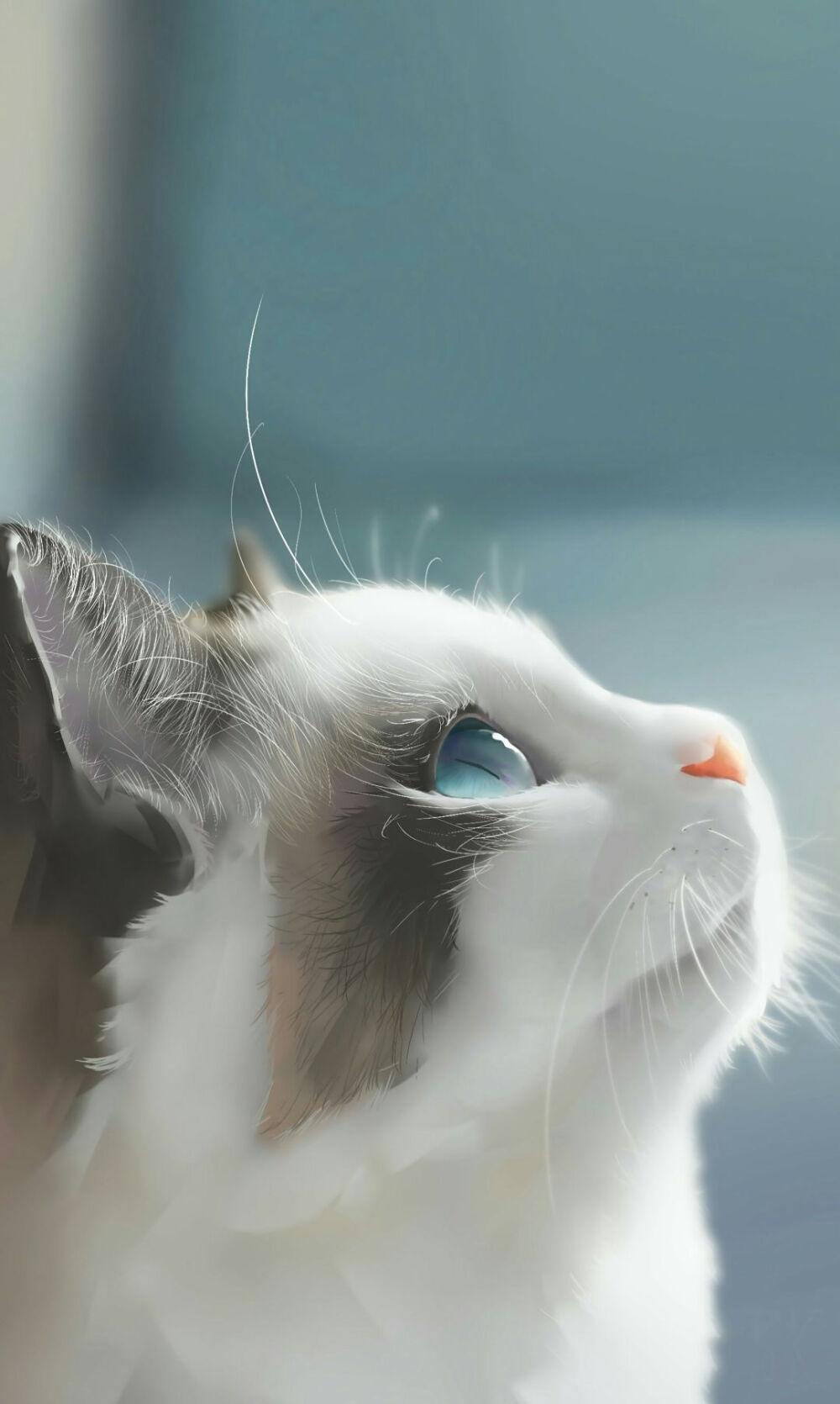 有哪些色系的壁纸好看到爆? - 知乎