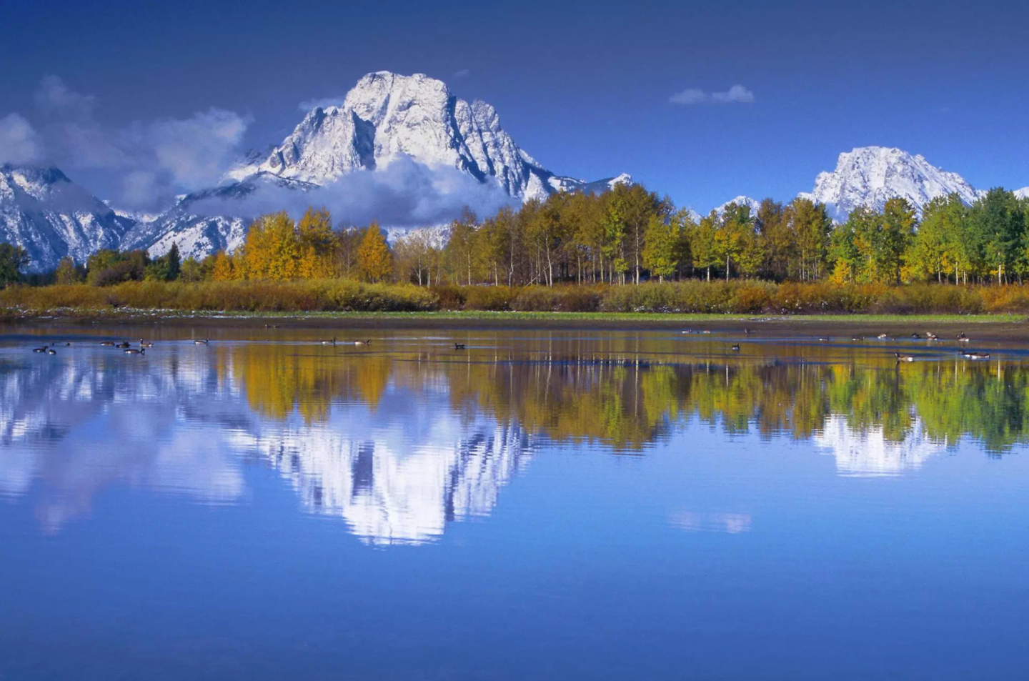 计划去美国黄石国家公园吗？看了这篇攻略再说！ - 知乎