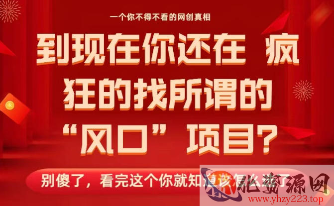 马上26年了，你还在找所谓的风口项目？别傻了，看完这个你全都懂了！【揭秘】