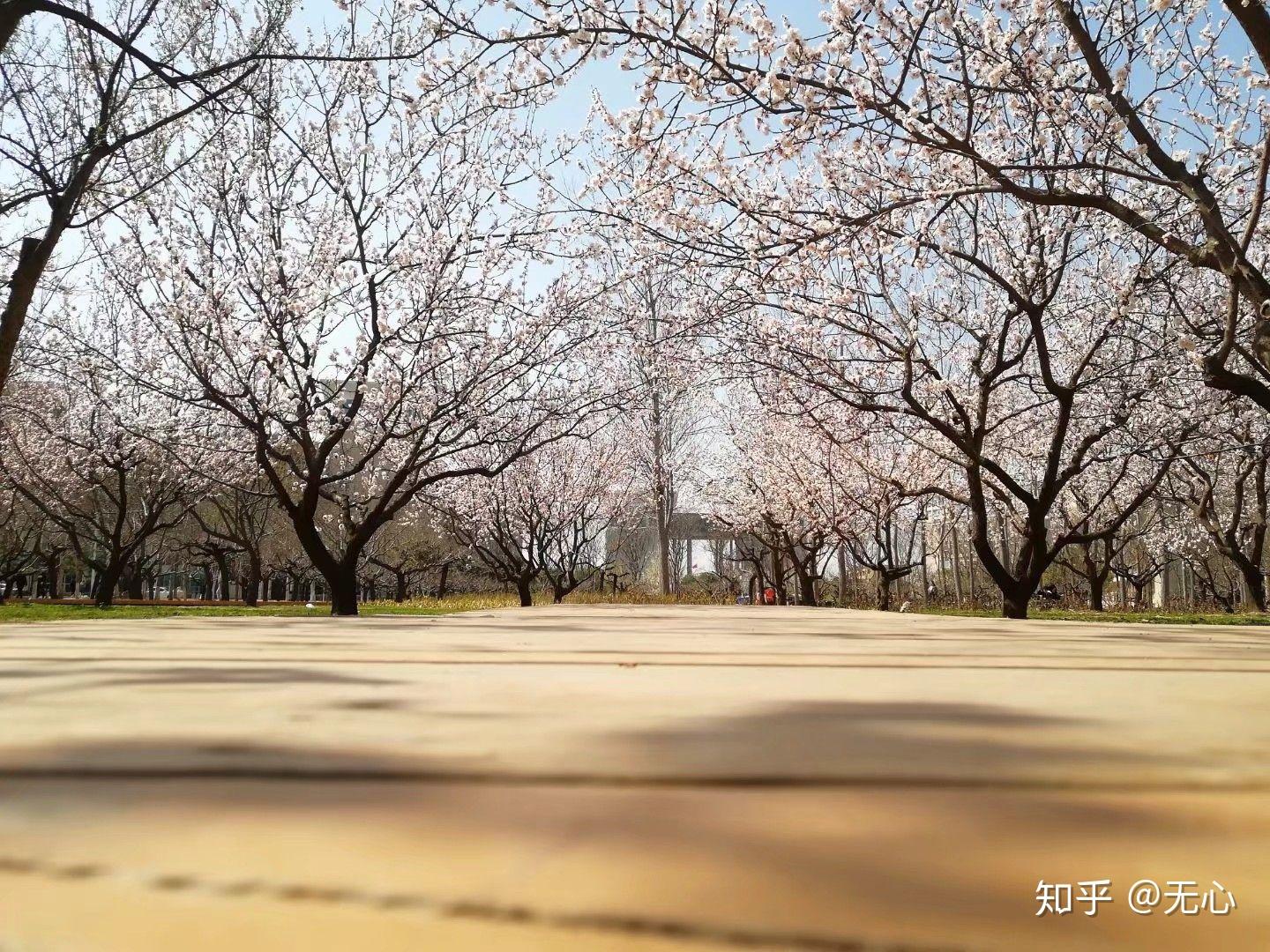 想問下中原工學院的校園風景如何還有宿舍環境如何