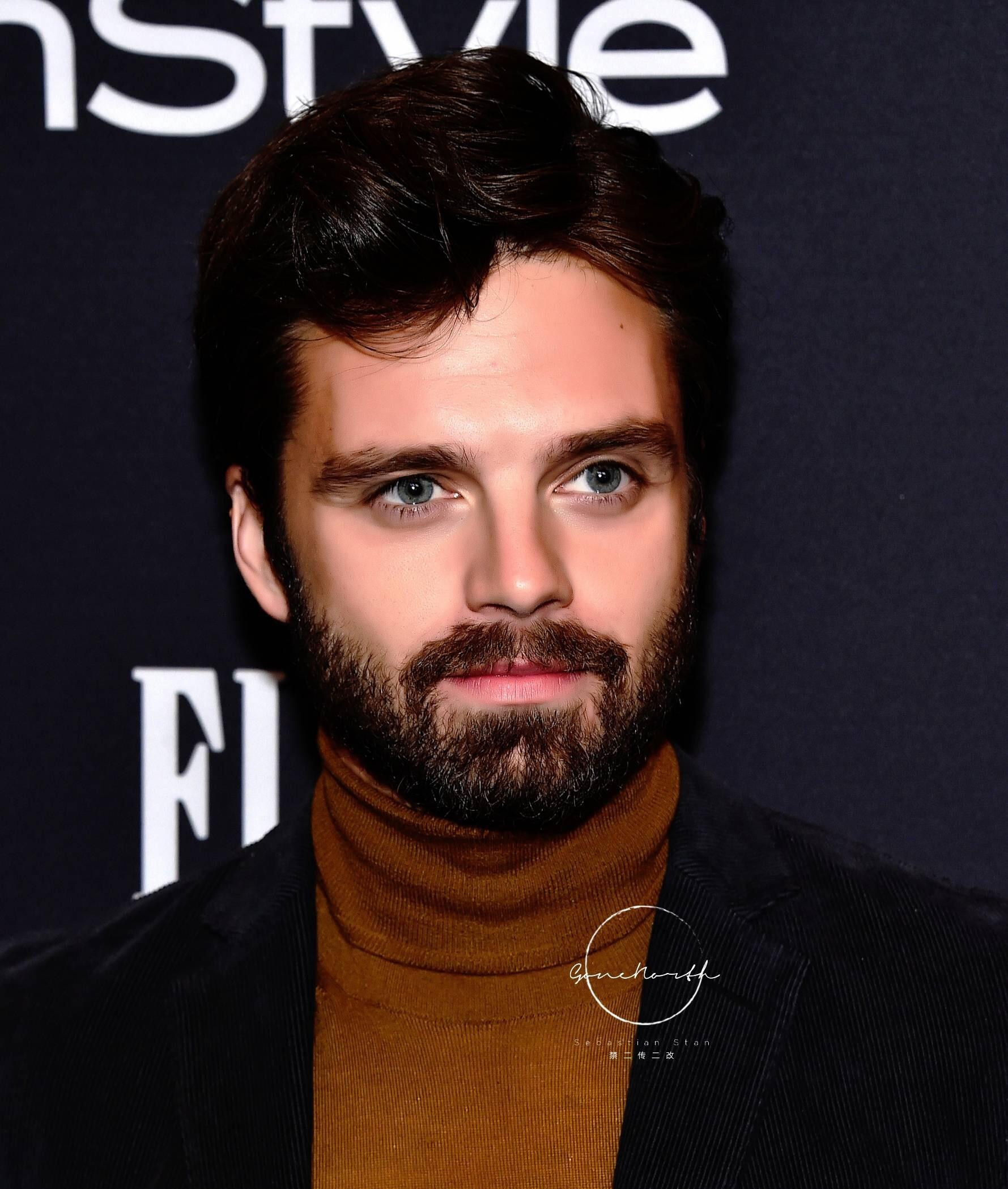 大家都有哪些塞巴斯蒂安斯坦sebastianstan的美照06625463
