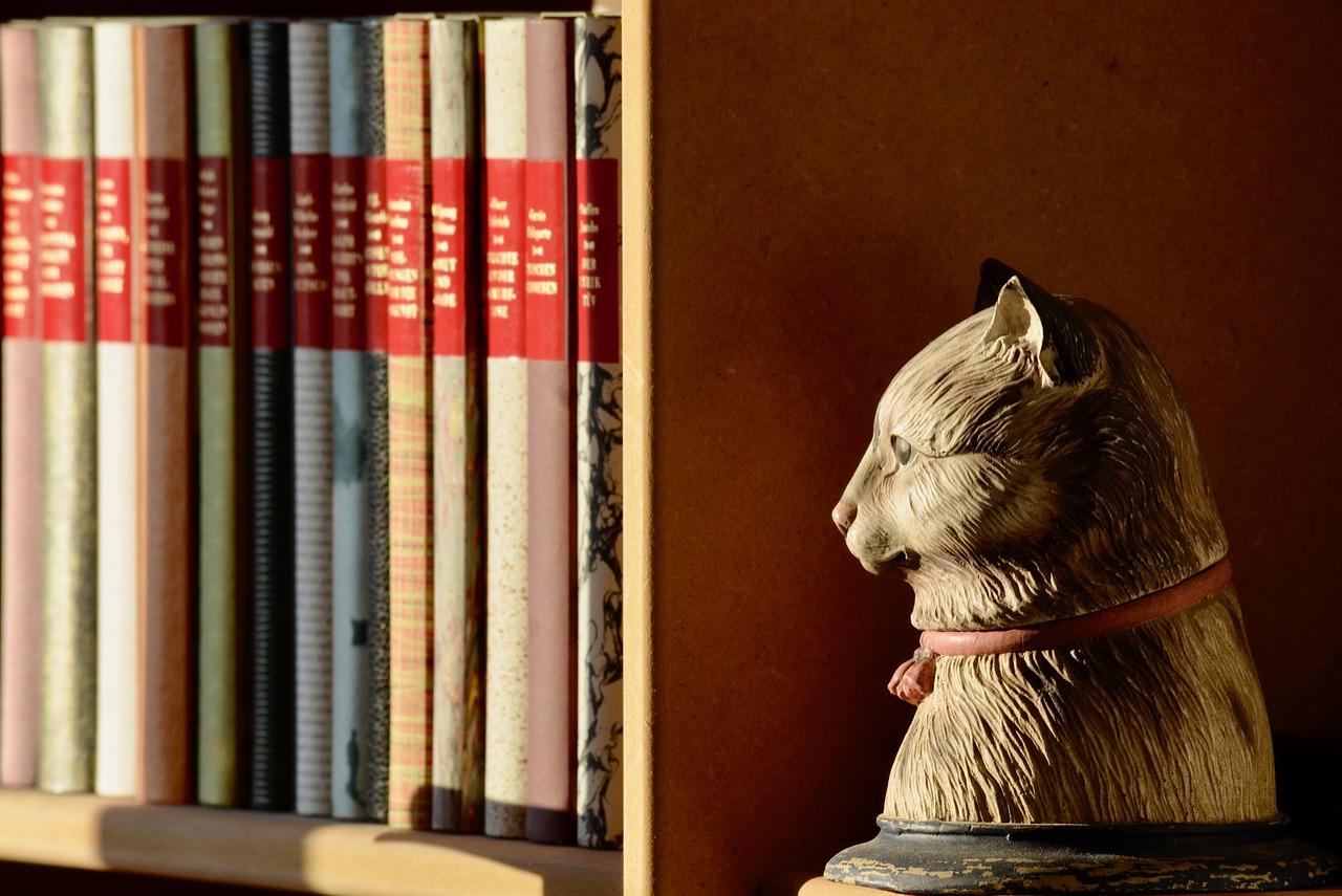 5. 书架安全距离