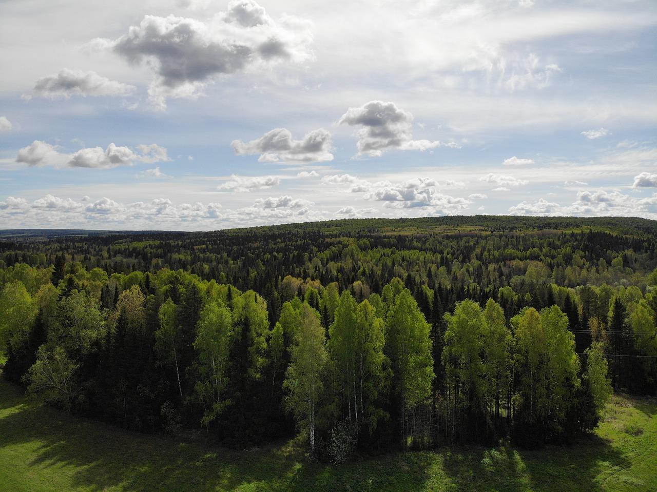 3. 乡村家居特色