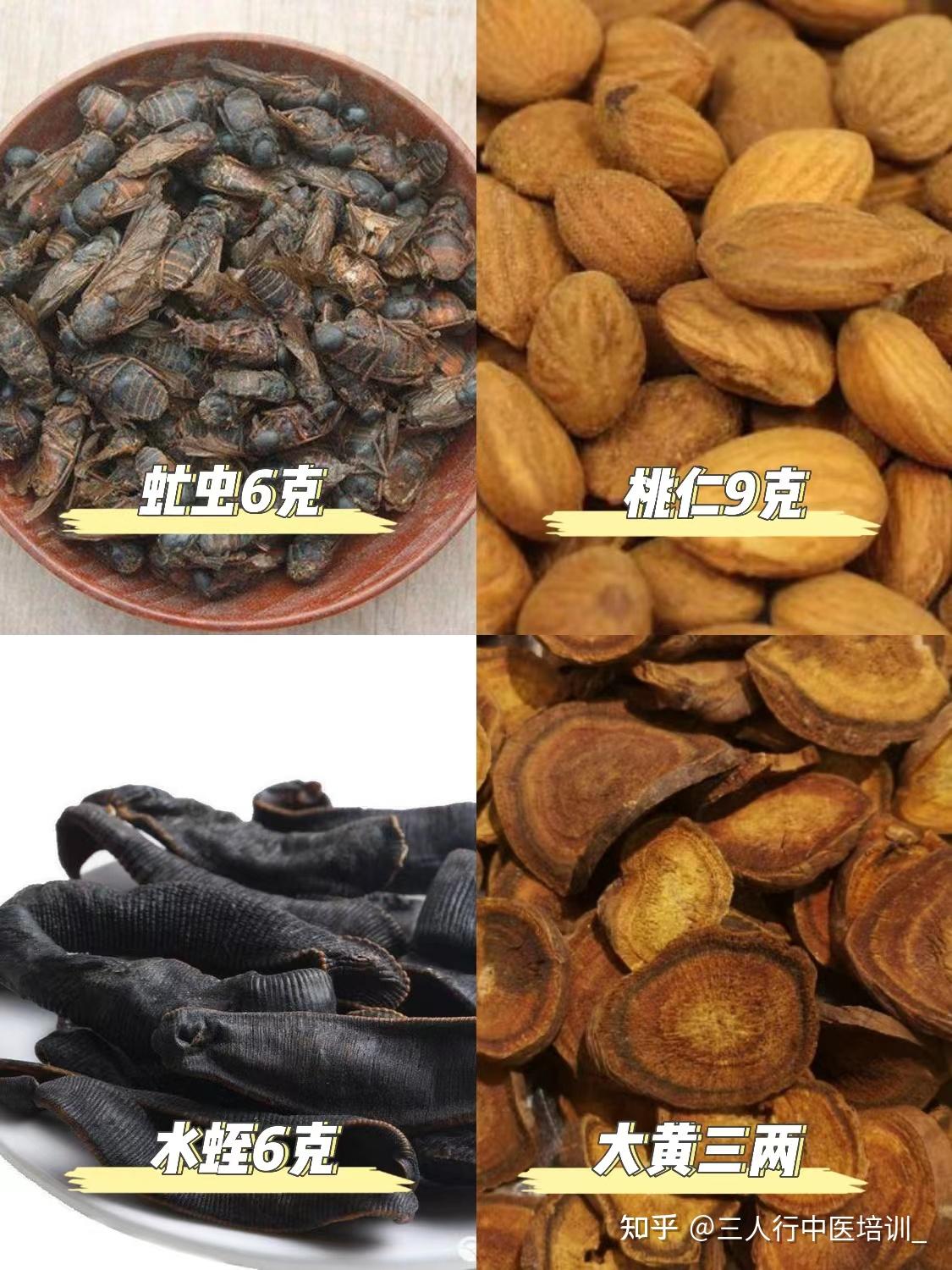 「抵当汤」、「抵当丸」偌水老师注解《伤寒论》第139-141条 - 知乎