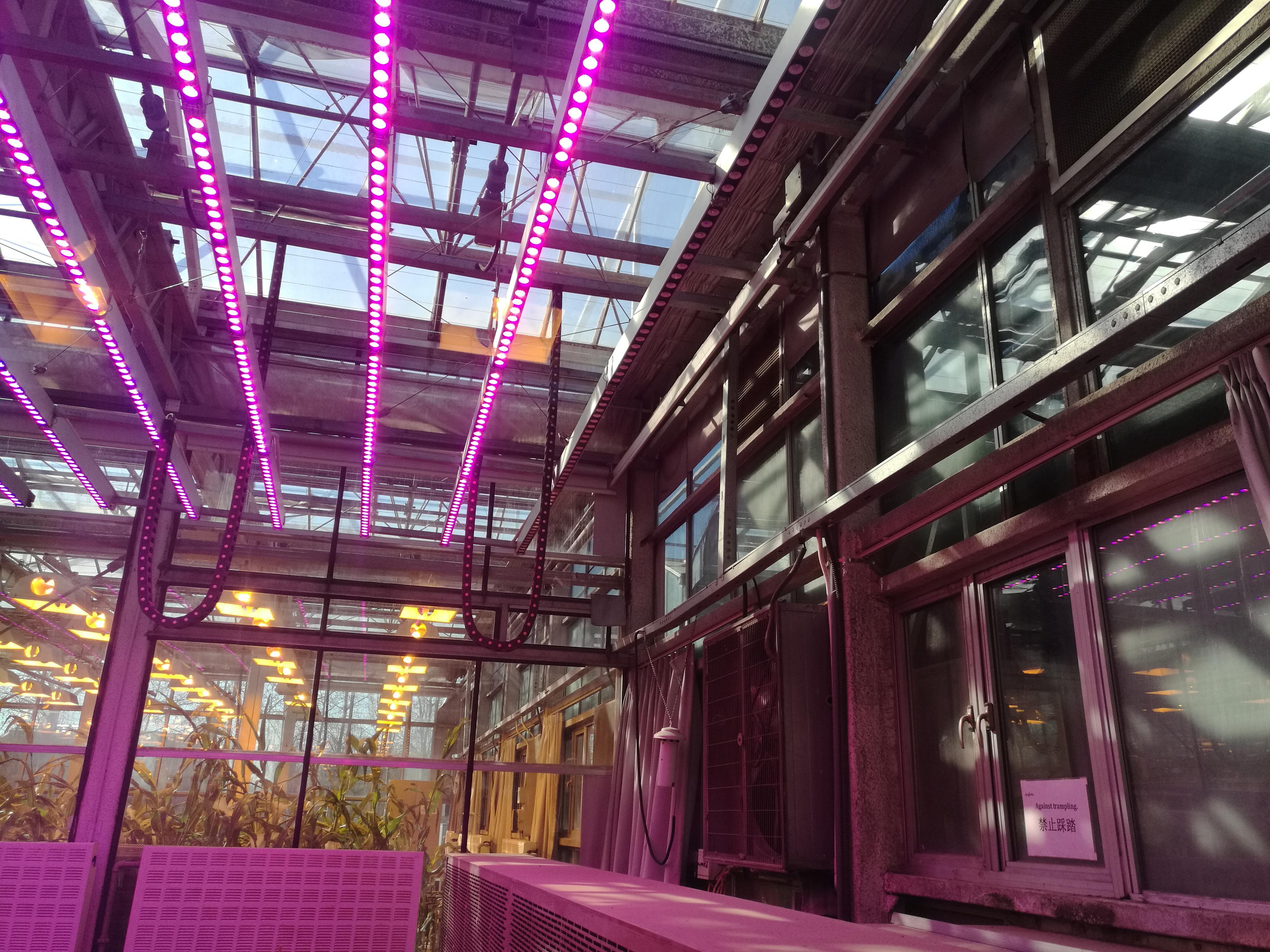 Led植物照明产业的发展现状与趋势 知乎