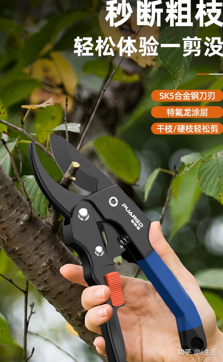 2025年十园林剪刀品牌排名 - 知乎