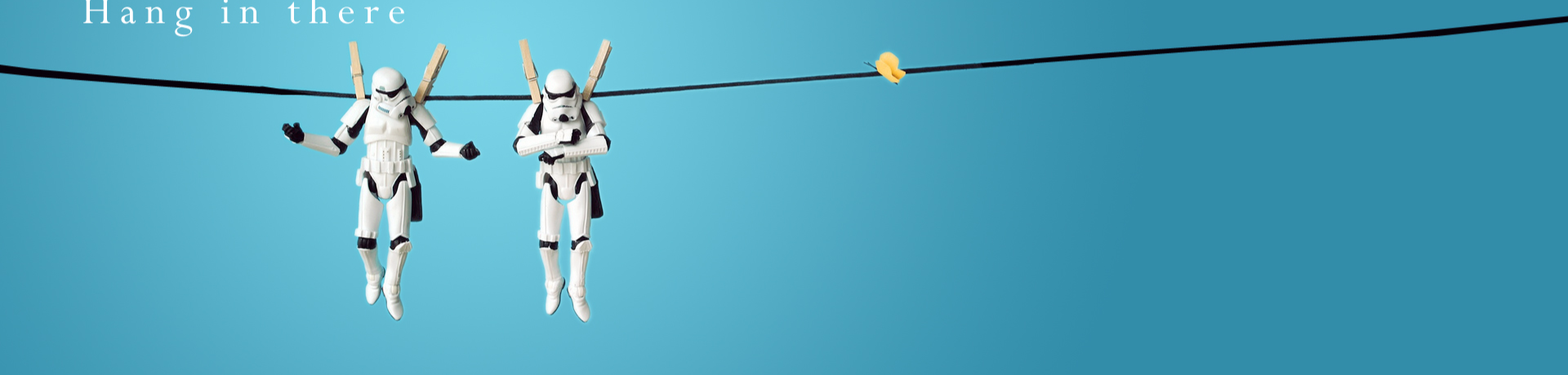 Zhihu banner for @carpenter