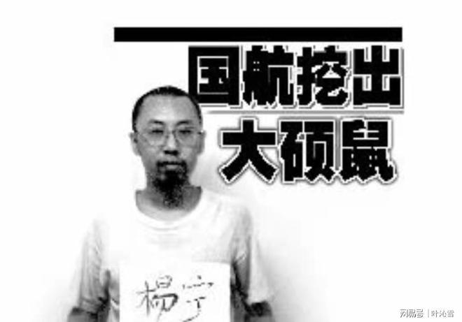 杨宁案:贪婪之祸与从业警示 - 知乎