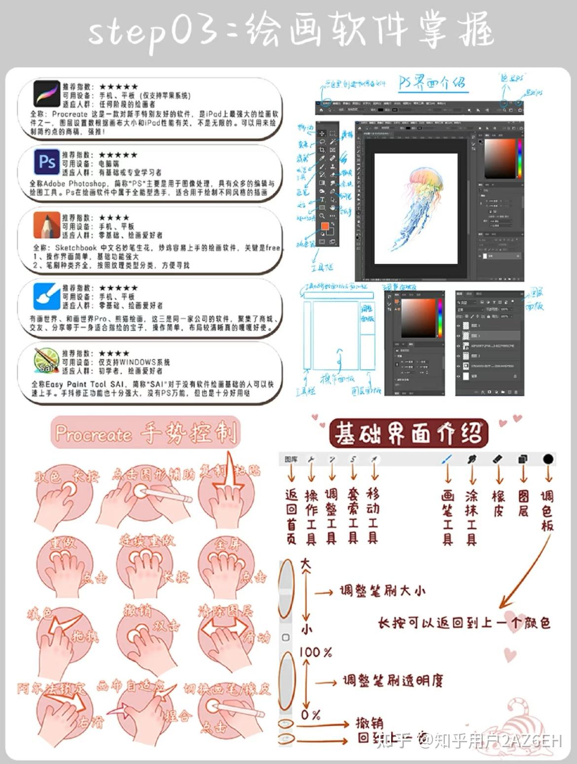 零基础插画入门 - 知乎