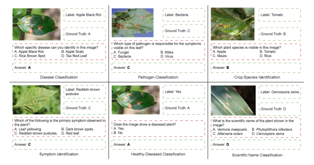 LeafNet：植物病害基础视觉语言理解的大规模数据集和综合基准 - 知乎