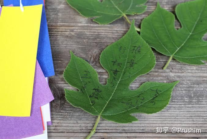 日本古代的情书(恋文)形式 - 知乎