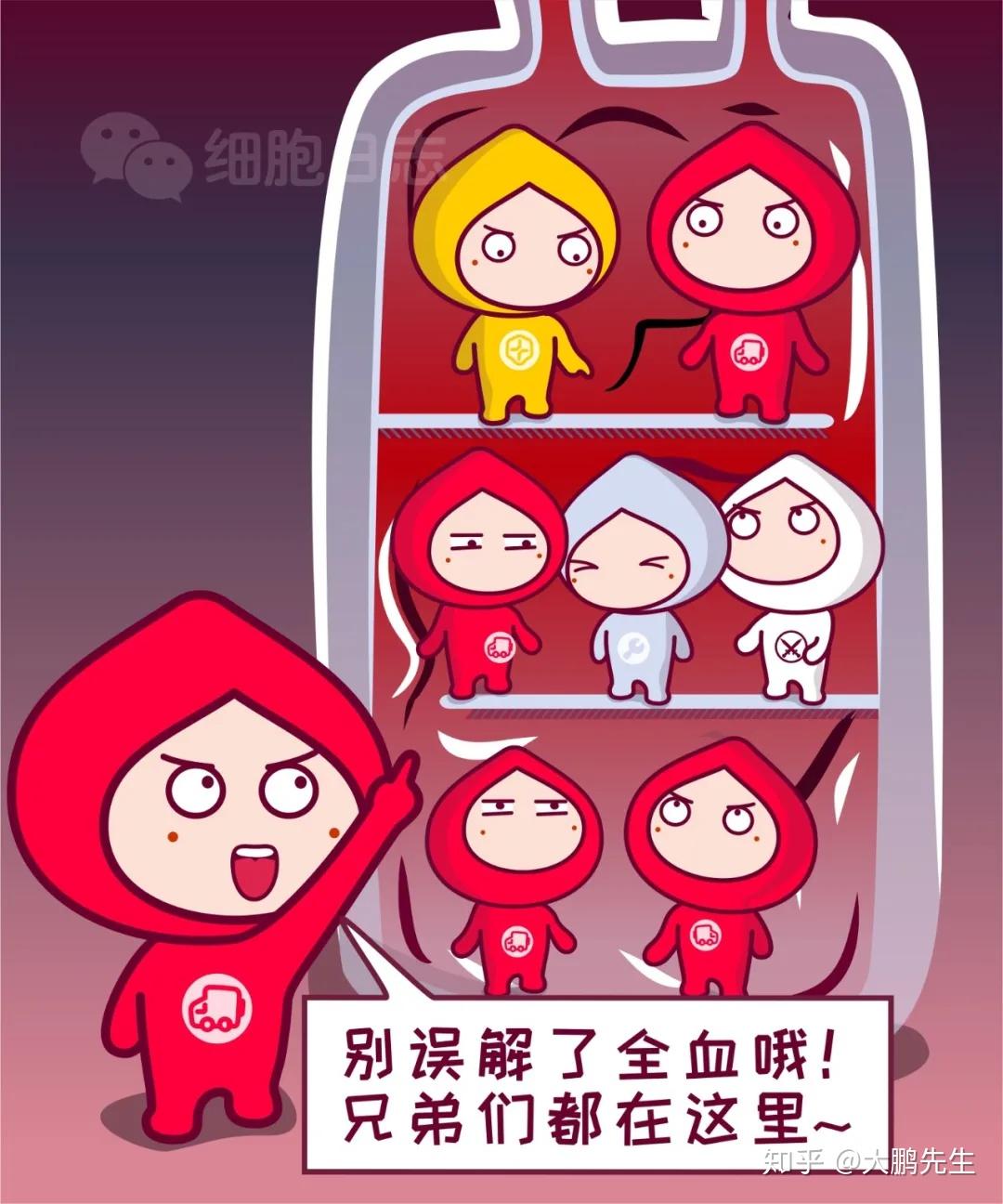 【细胞日志】大夫,我失血过多,为什么不给我输全血??? - 知乎