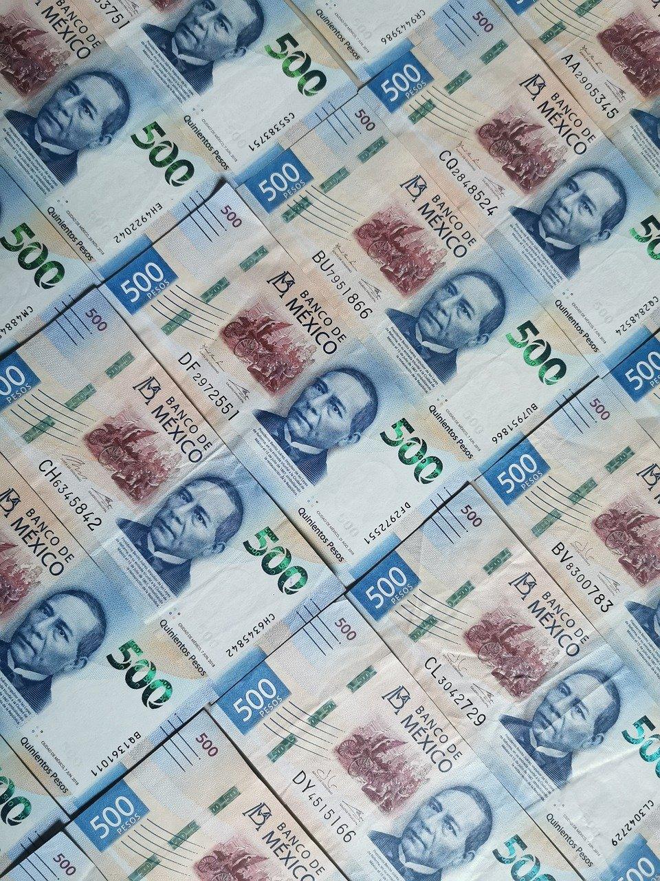 4. 费用包含内容