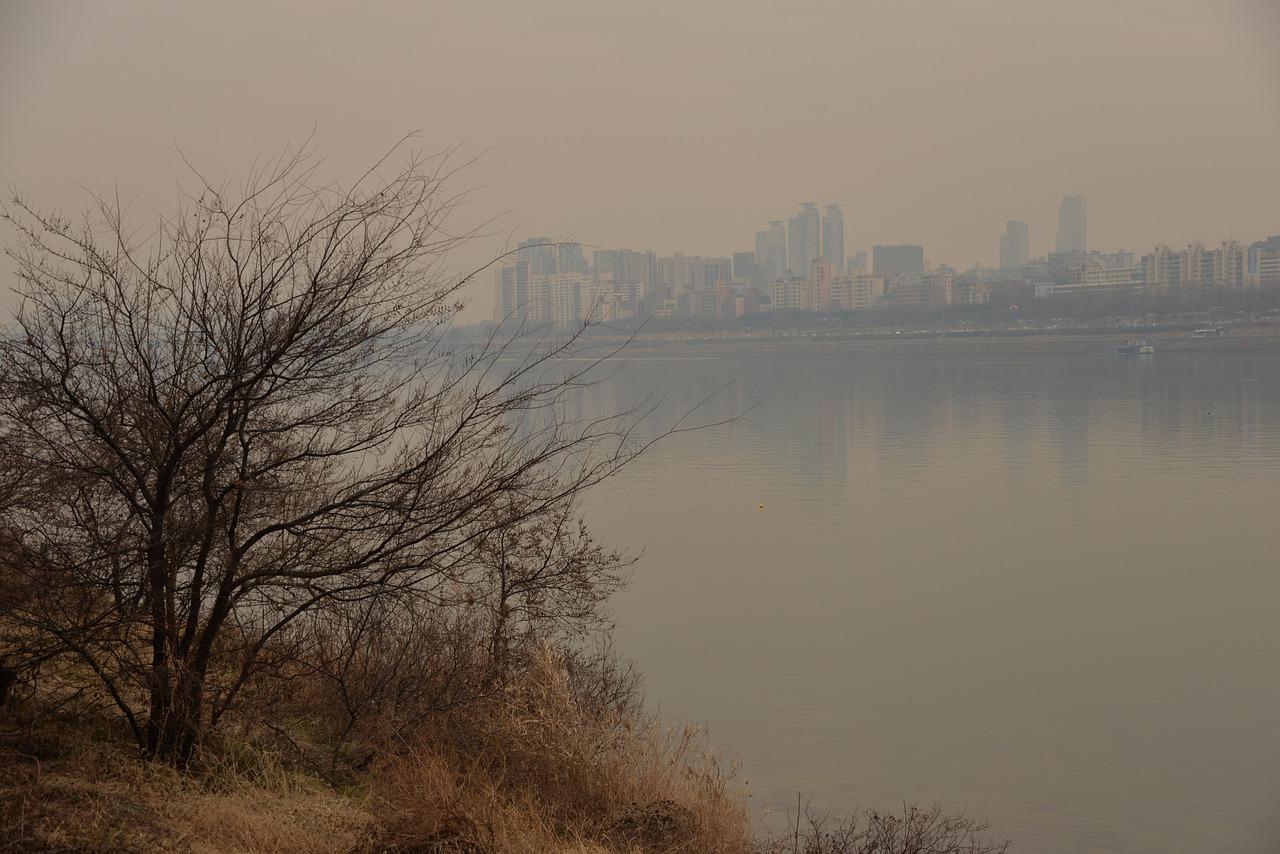 河景房市场行情分析