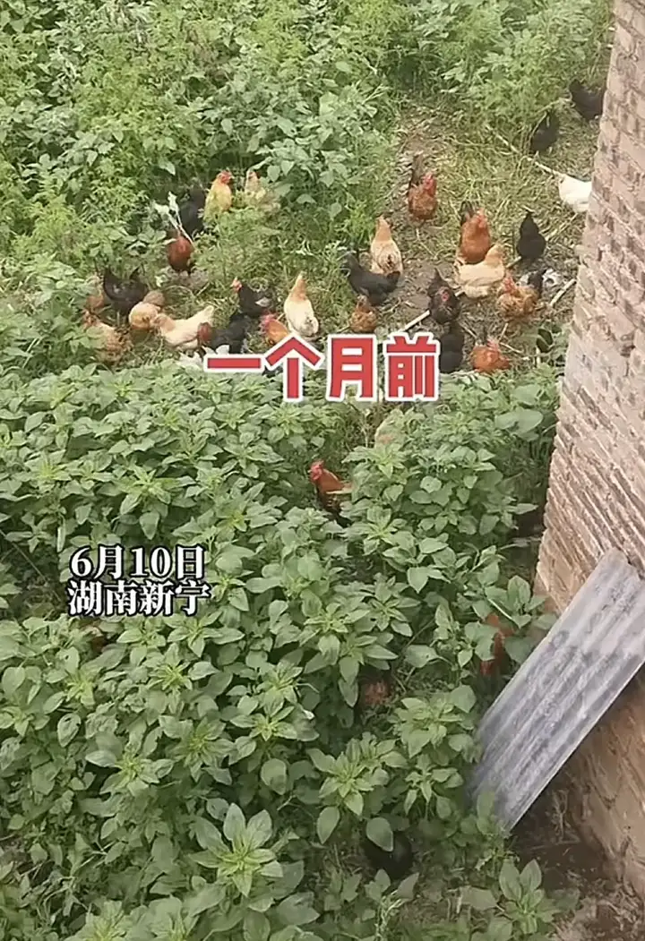 瞎扯 · 如何正确地吐槽