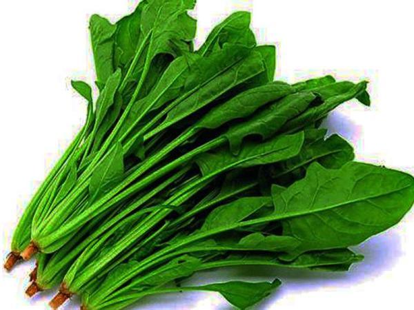 吃什么食物能养胃 v2-cd91405a94162bc6a6539f47a7636c93_1440w.jpg?source=172ae18b