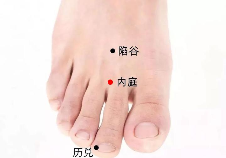 内庭穴的准确位置图|及作用功效 - 知乎