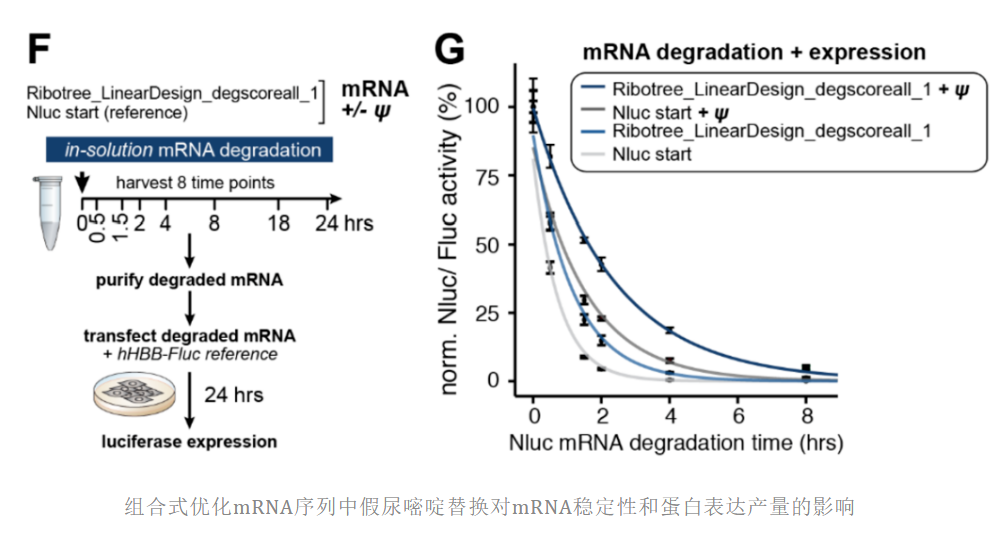 怎么对已经设计好的mRNA序列进行优化? - 知乎
