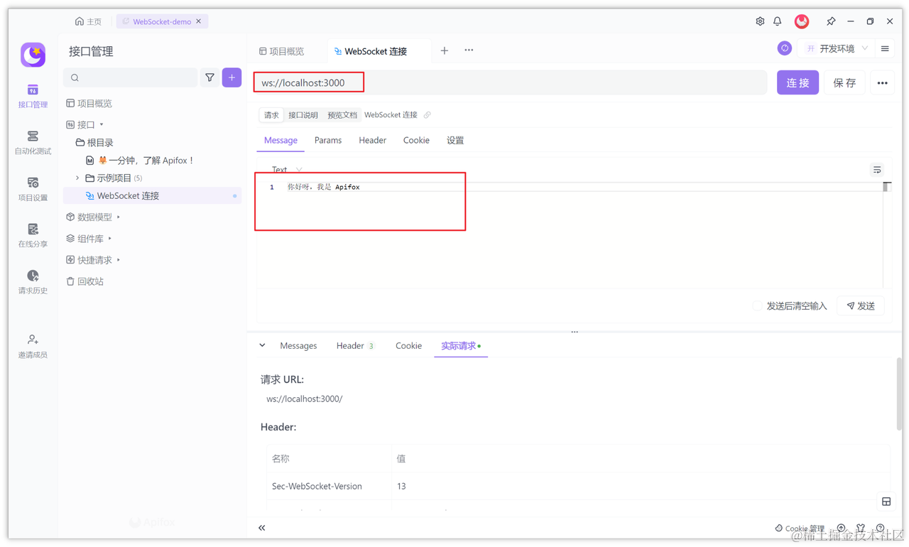 WebSocket websocket