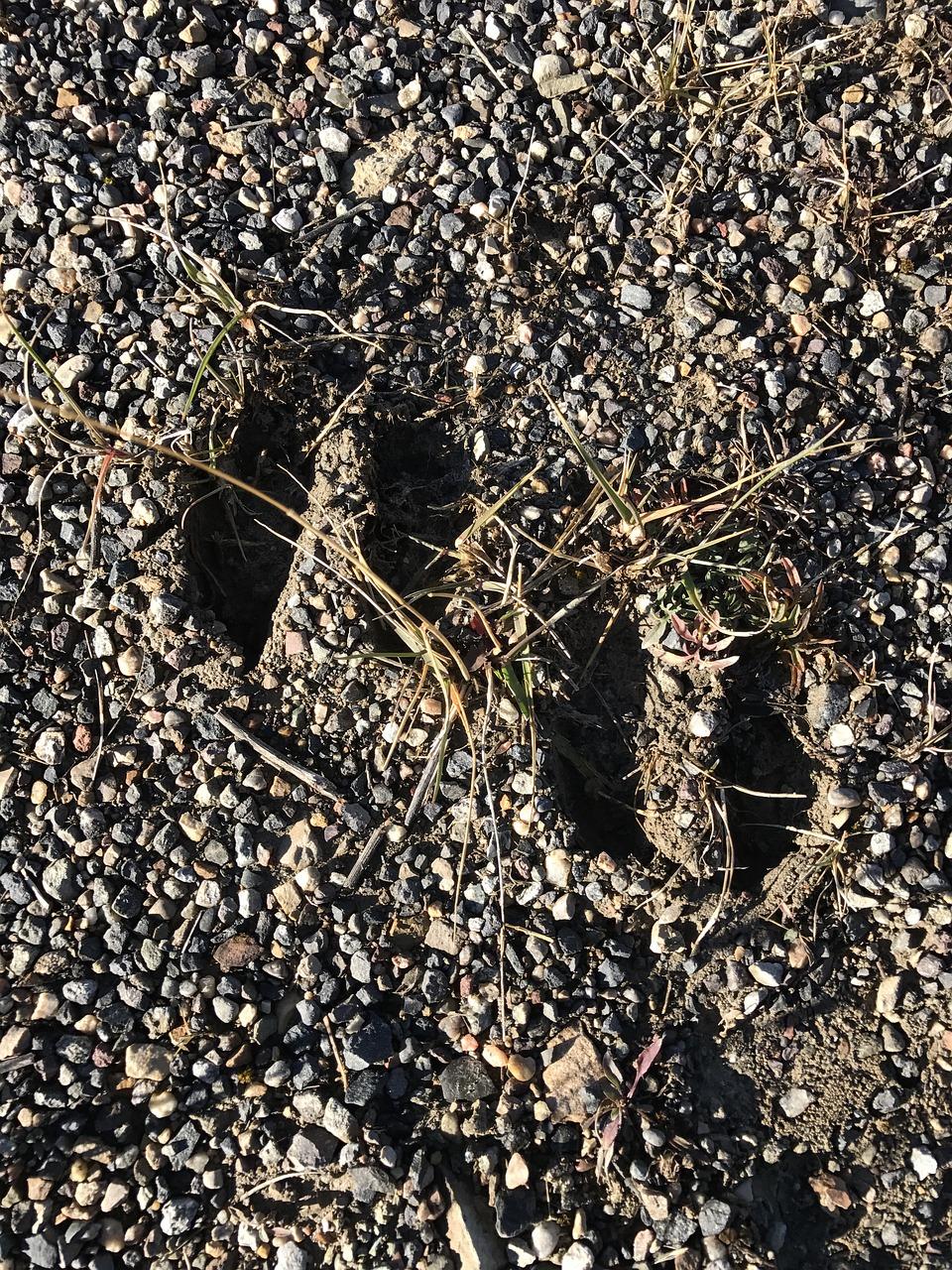 2. 污渍清除方法