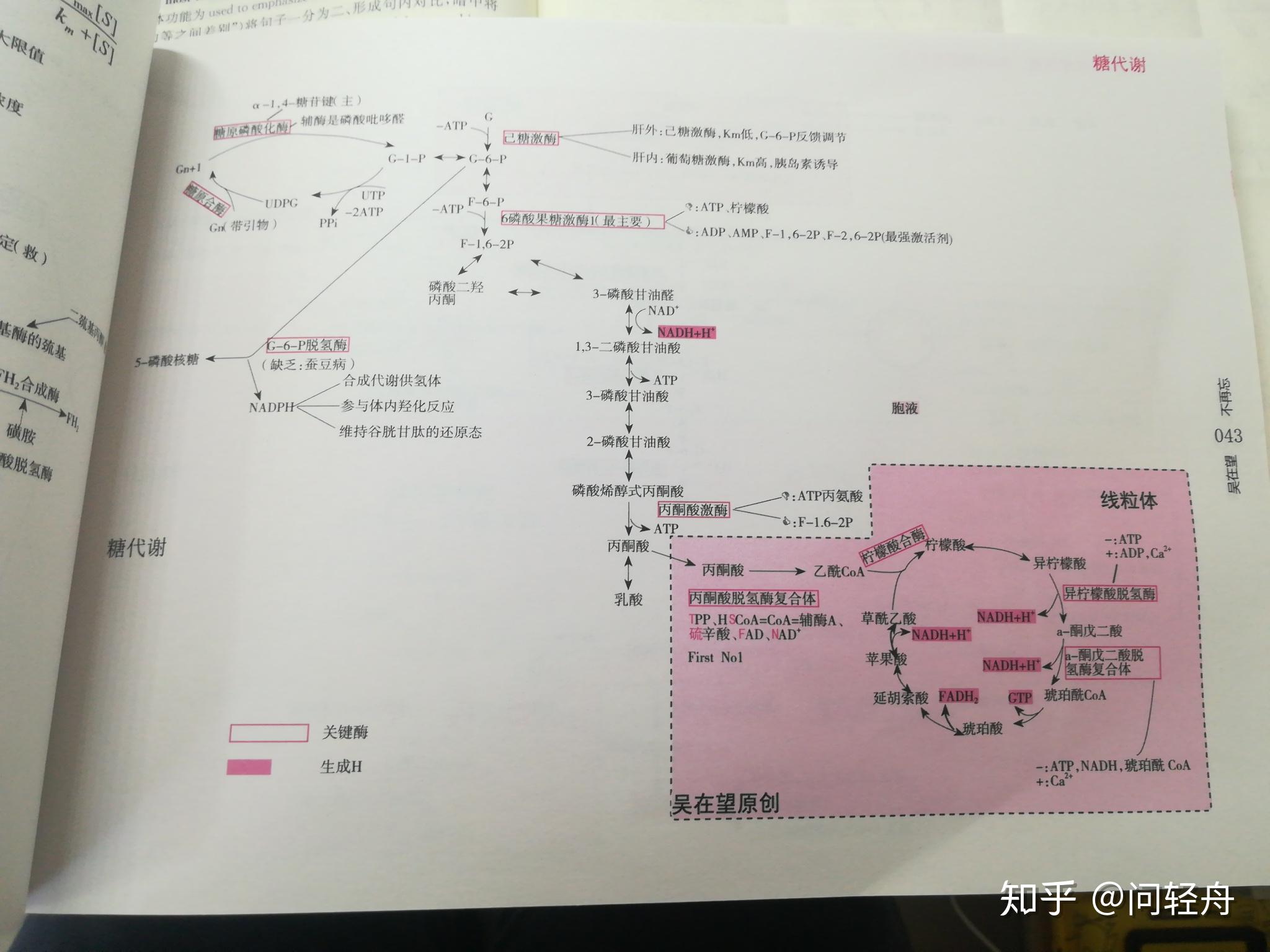 吴在望西医综合思维导图怎么样?