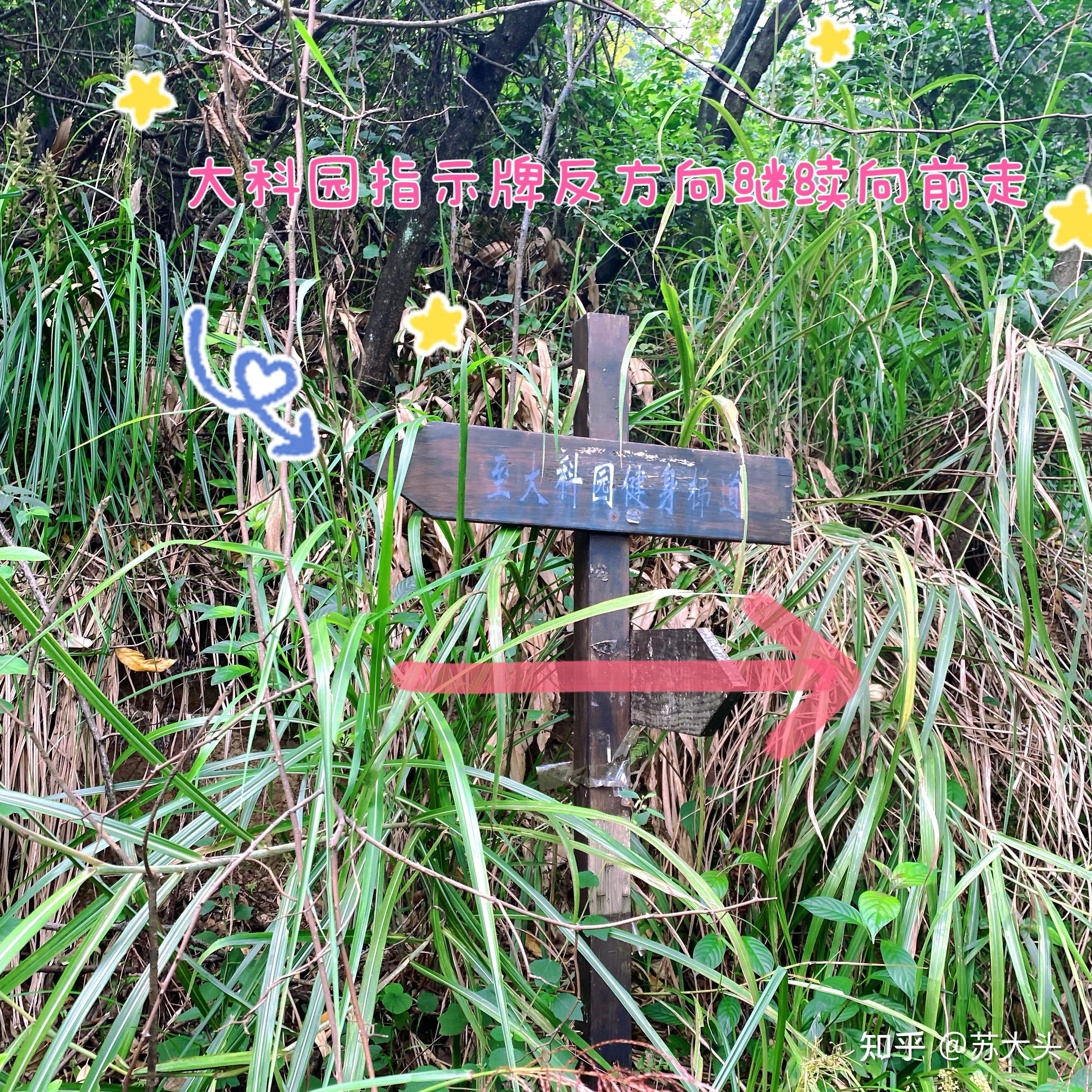 重庆徒步爬山圣地：缙云山免门票上山详细路线指引 - 知乎
