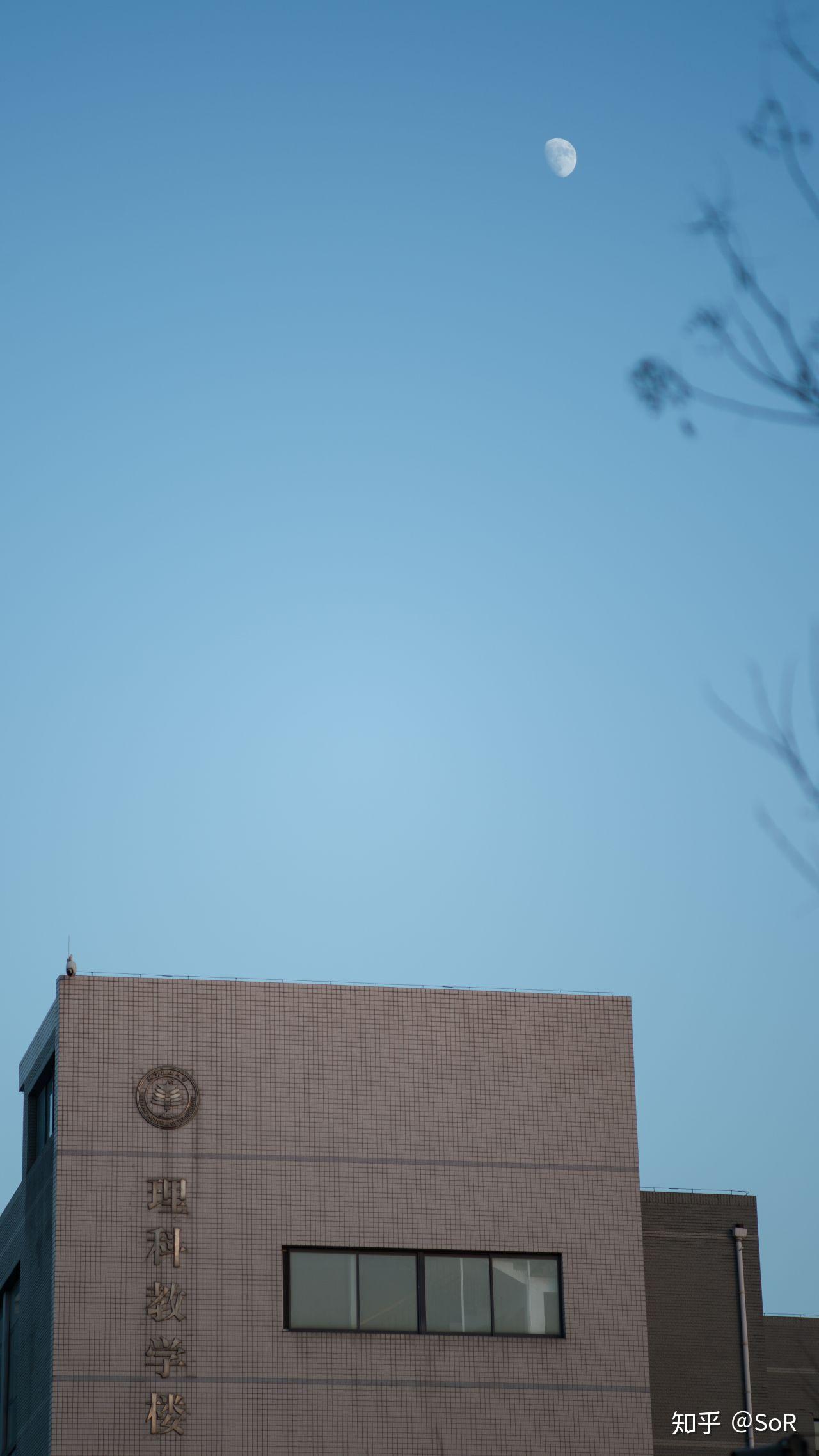 NIKON鏡頭收購