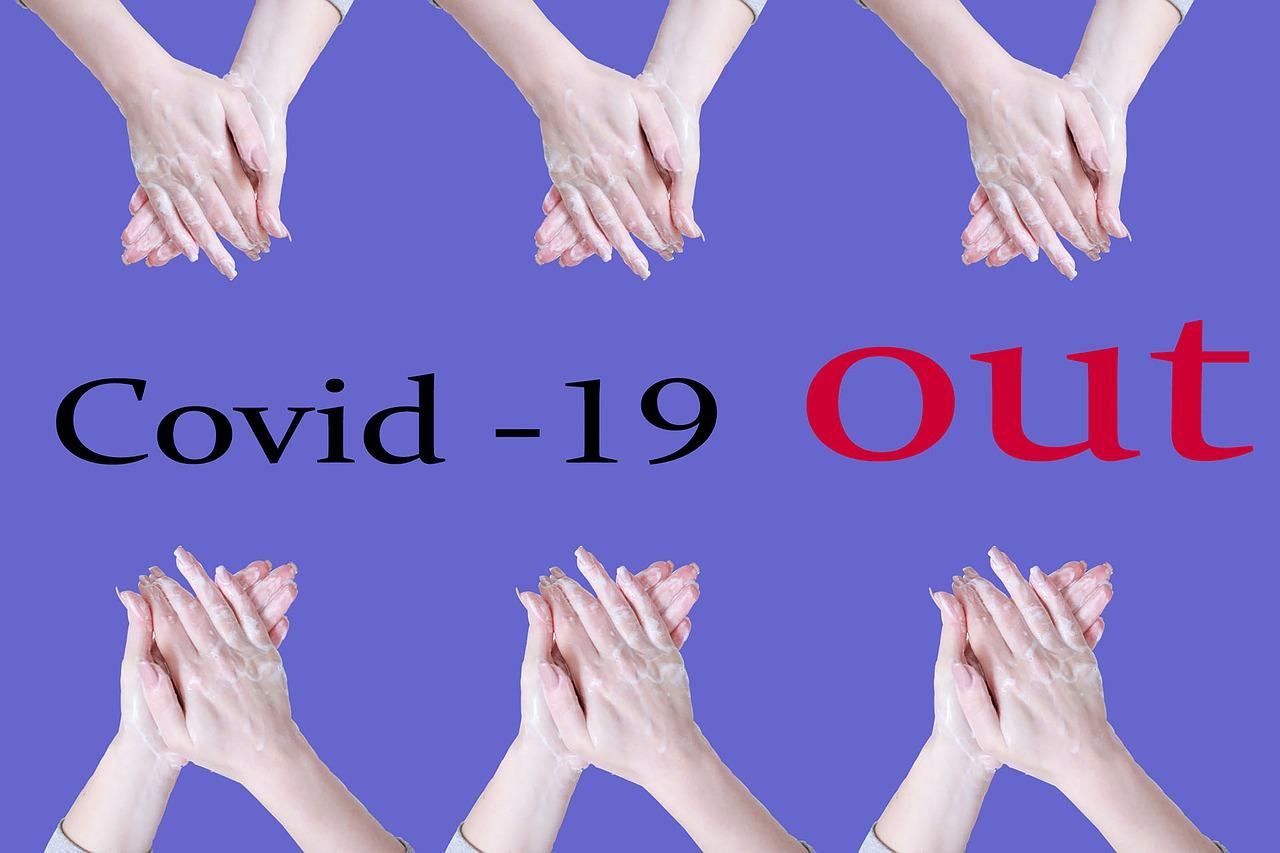 潜叶虫怎么防治