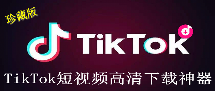 4k tiktok video downloader