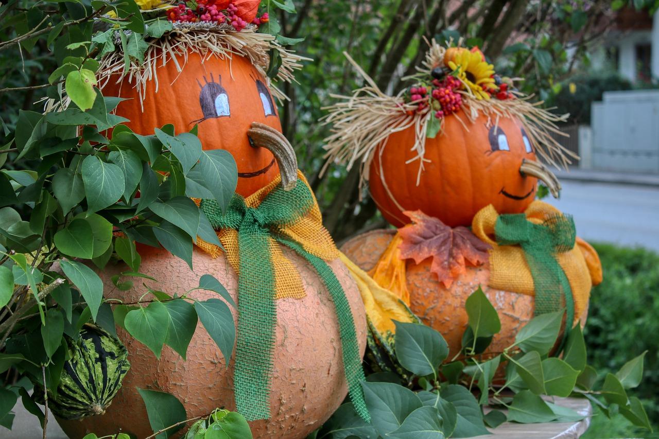 3. 南方秋种菜谱