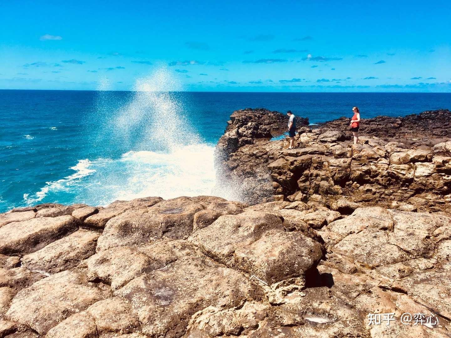 去过毛里求斯后你最大的感受是什么?