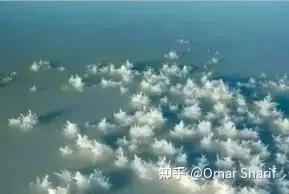 “盐中钻石”盖朗德盐之花 The Diamond of Salt ~ Fleur de Sel de Guérande(之二) - 知乎