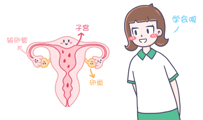 第一次来月经，如果有人告诉我这些 - 知乎
