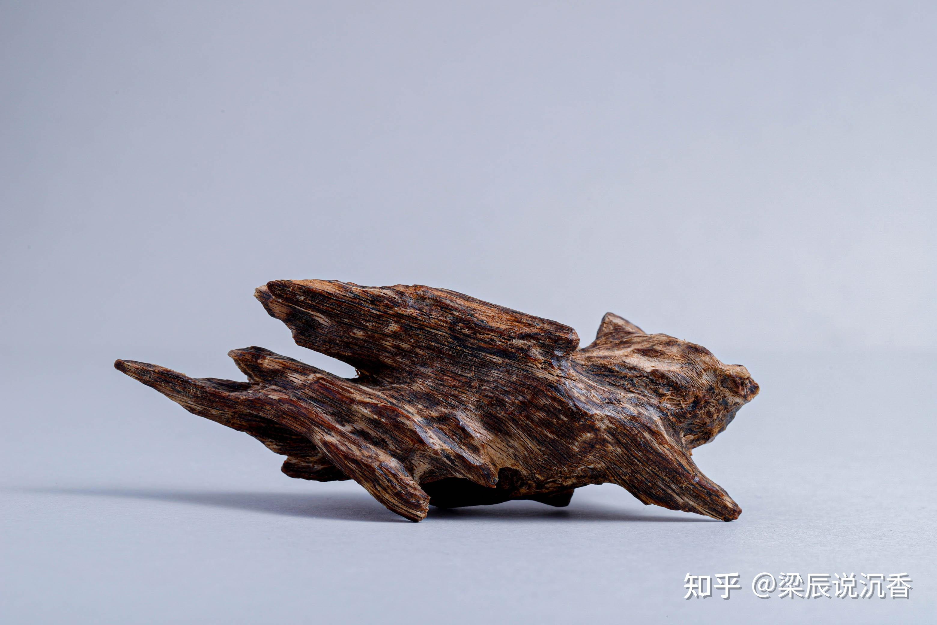 沉香木为什么贵? - 知乎