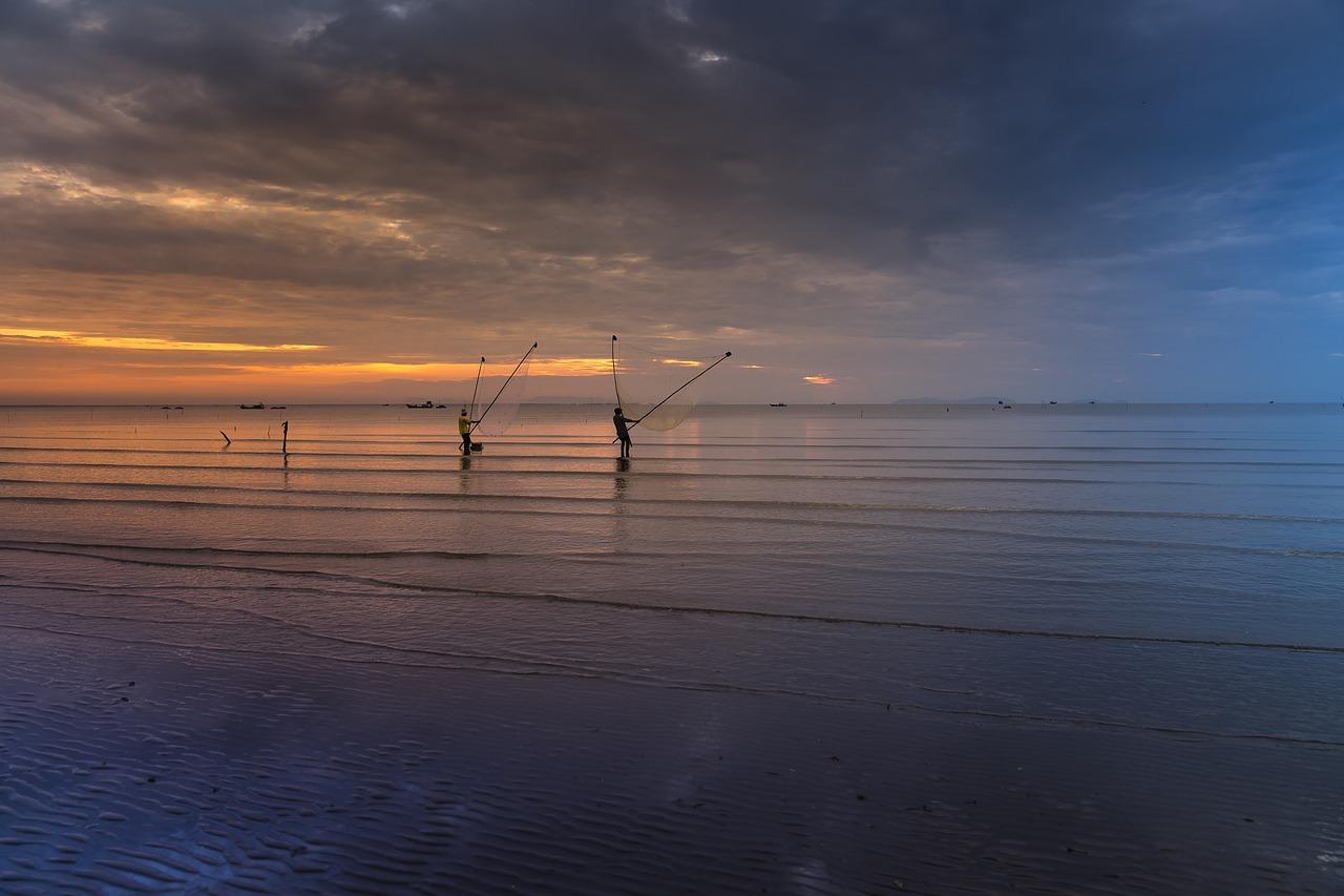 石井广雅均价多少