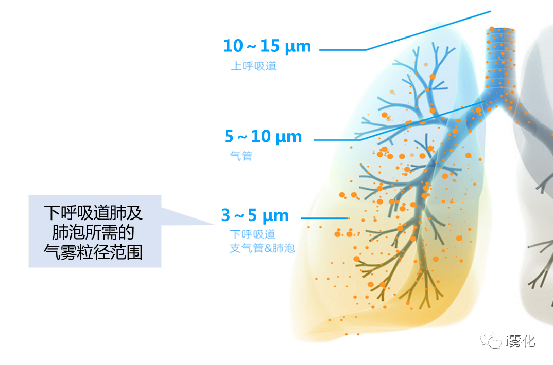 第1次买雾化器 挑选家用雾化器超强攻略 - 知乎