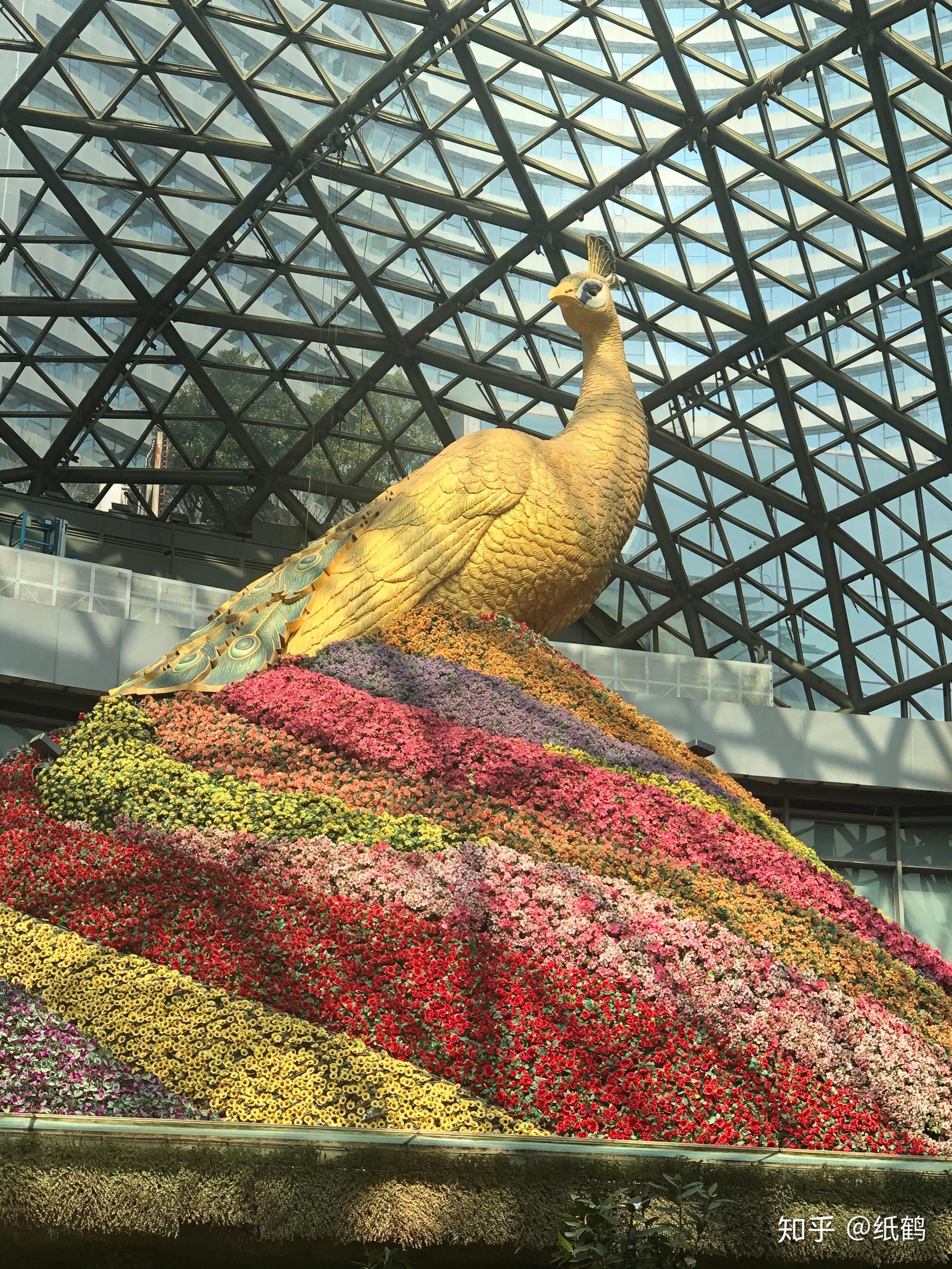 昆明花之城真的有那么好吗