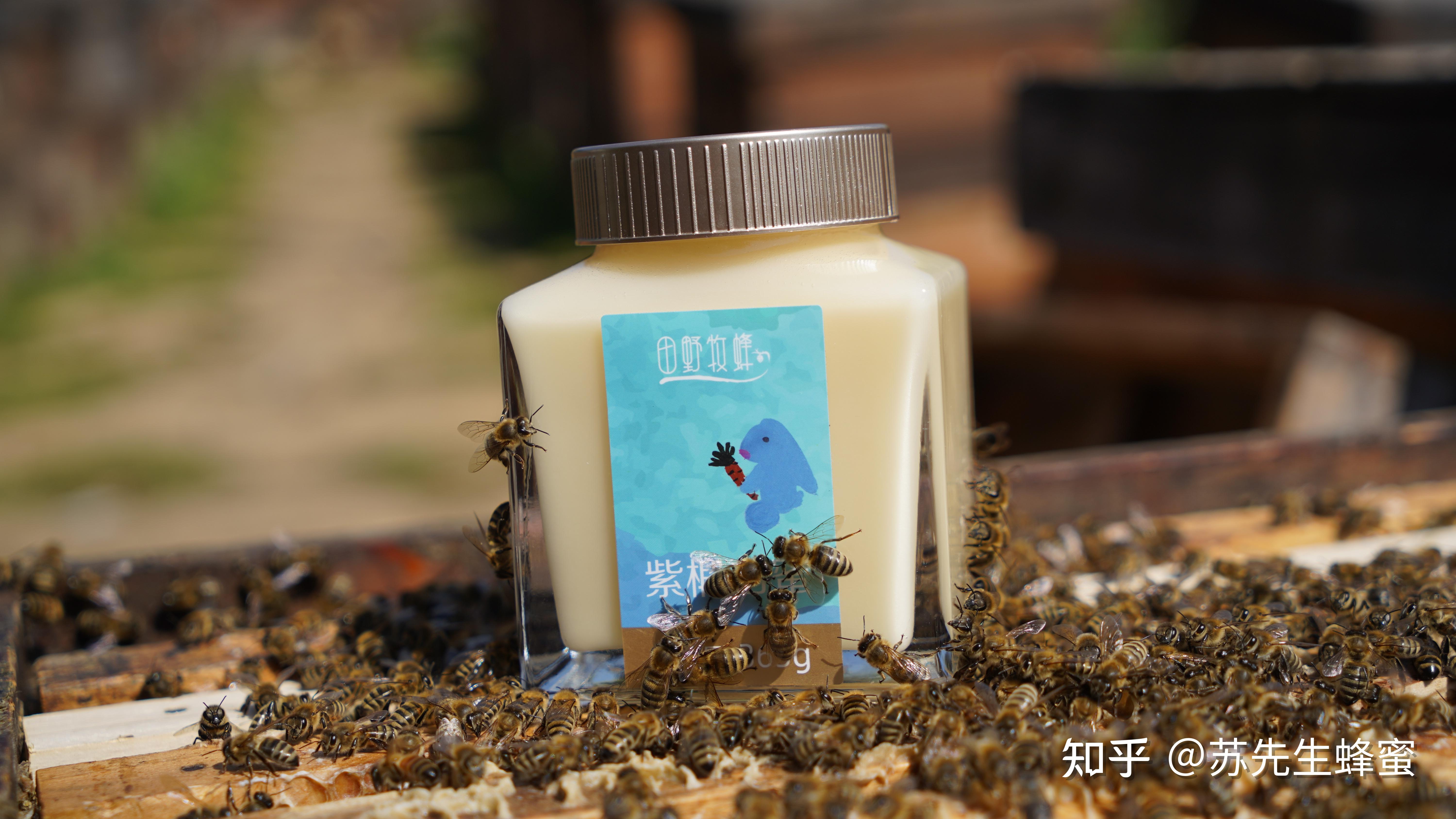 工蜂是受精卵发育,蜂王吃蜂王浆发育.