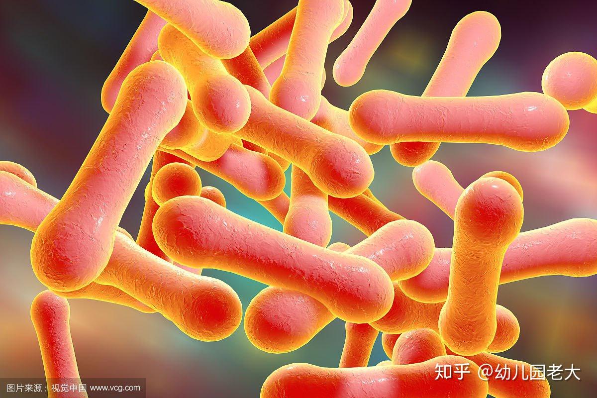 为什么《爱情公寓》第17集中诸葛大力说白喉棒状杆菌最美? - 知乎