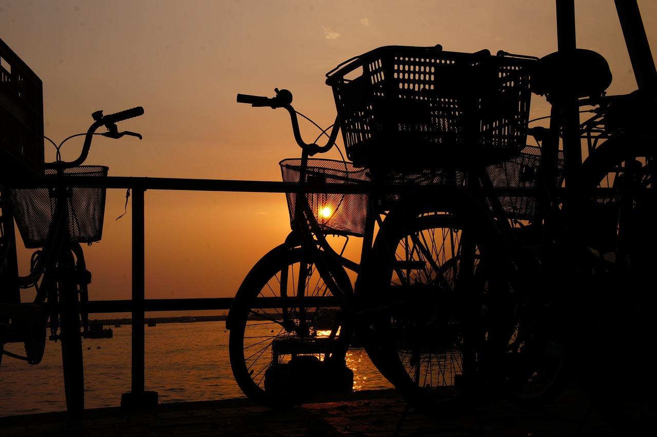 落叶飘零情感浓