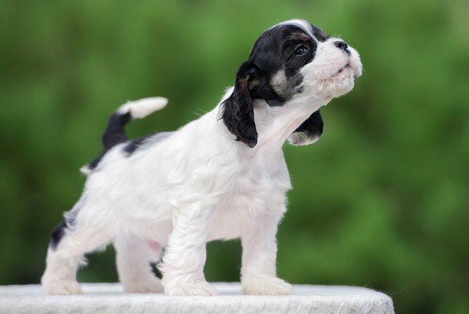 v2-cff52e61ff4744f3c4da65d47c7708b8_1440w.jpg?source=172ae18b